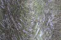 Rochester fibreglass roof work